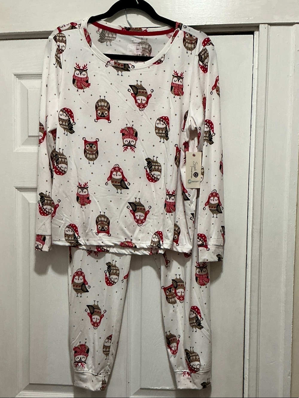 Secret Treasures White Owl Print Long Sleeve Pajama Set with Red Accents